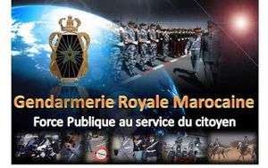 concours de recrutement d'Elèves Gendarmes Spécialistes, au profil du Service Central des Transmissions