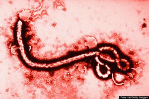 Maroc : Le dispositif de riposte contre Ebola notifié aux professionnels de santé