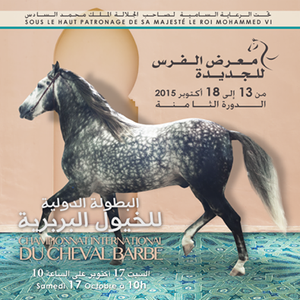 Salon du Cheval d’El Jadida : SAR le prince Moulay Rachid préside la cérémonie d’inauguration du parc d’expositions Mohammed VI