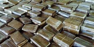 Saisie de plus de 3 tonnes de chira en plaquettes à Ouled Taima