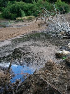 Un lac reconverti en décharge