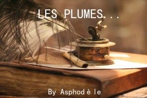 evalire et les plumes 35