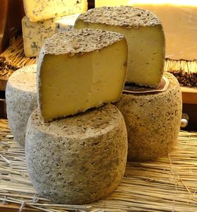 Le Thérondels au lait cru de vache