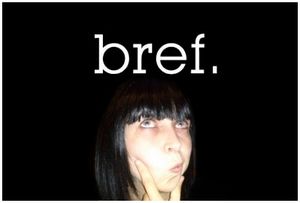 J'ai voulu écrire un article à la façon de "Bref"