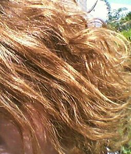 Comparatif shampoing solide / shampoing liquide