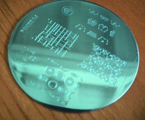 En 3 semaines chrono, sans frais de douane, mes Pueen Cosmetics Plates pour le stamping...