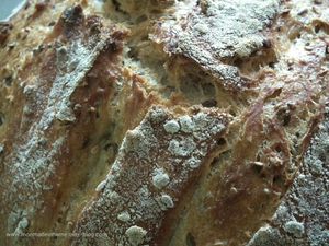 No-Knead Bread.... encore !! ❤