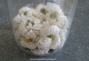 Beurre précieux camomille / calendula avec enfleurage