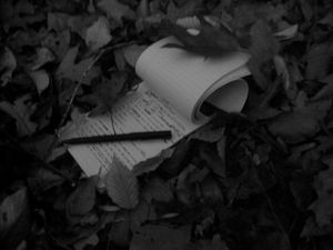 La page blanche... ou le syndrome de l'écrivain (que je ne suis pas)