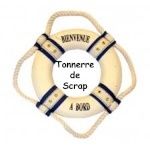 Jeu d'été sur le forum de la Boit'A Scrap