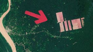 Des entreprises d’huile de palme ont commencé à déboiser les forêts au Pérou (photo: NASA)