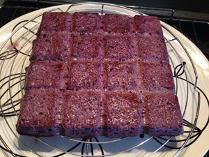 Gâteau au fromage blanc et myrtilles