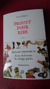 le livre de Laure Hillerin