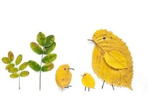Dernière récolte, c'est l'automne !