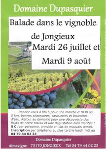 Balade dans le vignoble mardis 26 juillet et 9 août