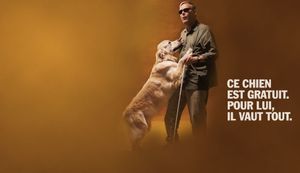 Association les chiens guides d'aveugle de l'ouest et de Bretagne