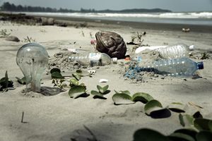 Gratte-ciel organique et villes flottantes : possible ?