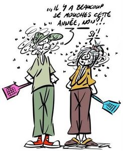 Mouches et moustiques