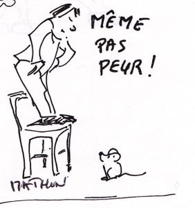 Et vous, vous aimez les souris ?