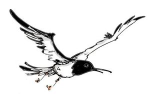 La mouette