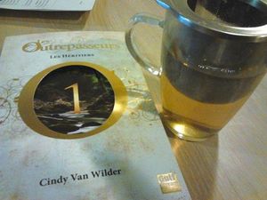 Les Outrepasseurs - Cindy Van Wilder