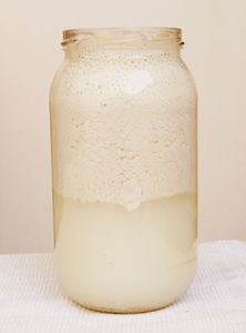 Huile de coco vierge, fait maison !