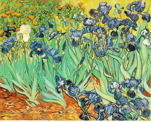 Au beau pays des fleurs, la suite des amis