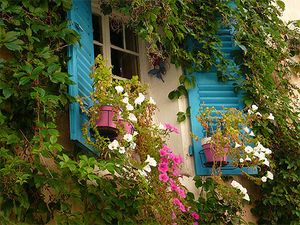 Au beau pays des fleurs, la suite des amis