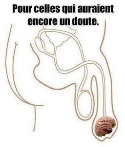 Défier la loi de la Gravité. Pour plus de Sagesse.