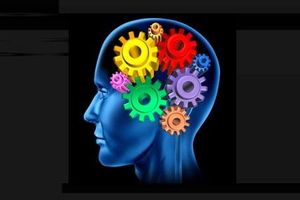CERVEAU : hippocampe et striatum, un équilibre à trouver, allié de notre bien-être.
