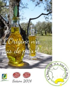 L’huile d’olive à l’honneur