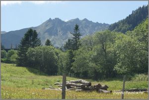 Auvergne:Les Monts Dore