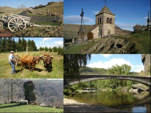 Les top du mois d'Octobre 2014