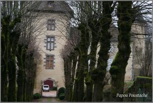 Le Chateau de Ferrières sur Sichon