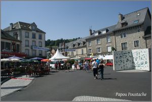 Le Bleu de Riom ès Montagnes