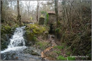 Randonnée en Auvergne