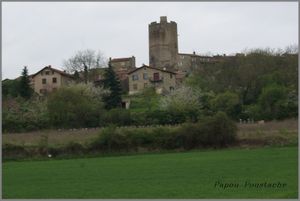 Randonnée autour de Montpeyroux