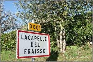 Lacapelle Del Fraisse Cantal