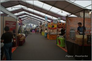 Foire expo Zenith Cournon 2015