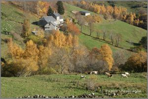 Balade dans le Cantal en Novembre 2015