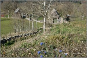 Les monts d'Ardeche et de Haute Loire