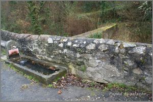 La dernière source d'Auzon ou la source miraculeuse de Sainte Vérène