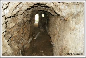 Les sources d'Auvergne