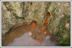 Les sources oubliées:Ternant les eaux