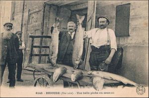 Le saumon de l'Allier vidéo et photos anciennes