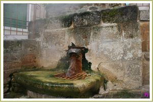 Les sources d'Auvergne