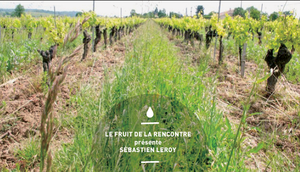 Le Fruit de la Rencontre vidéo du vernissage