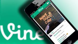 V is for VINE