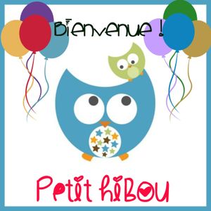 Bienvenue petit Hibou