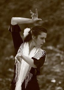 Stages de Flamenco et Sévillanes Saison 2013/2014